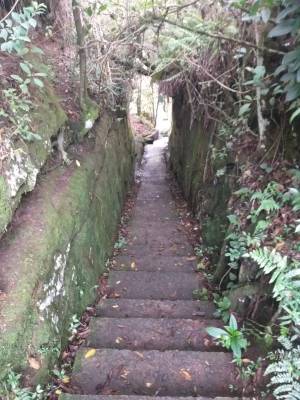 WhatsApp Image 2020-03-10 at 20.32.03